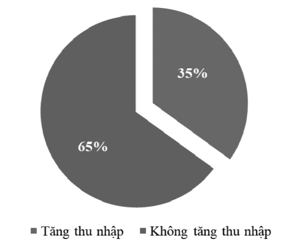 Biến động thu nhập của hộ dân