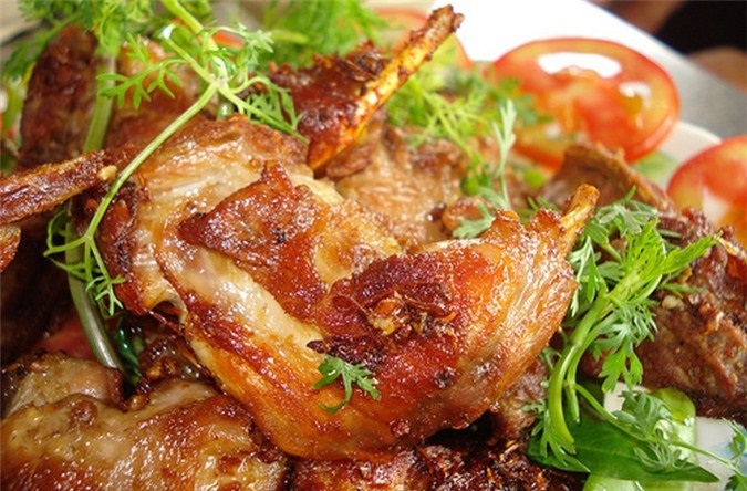 Chuột đồng