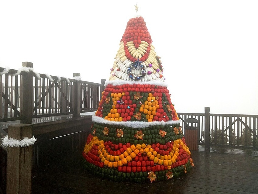 Cây thông Noel