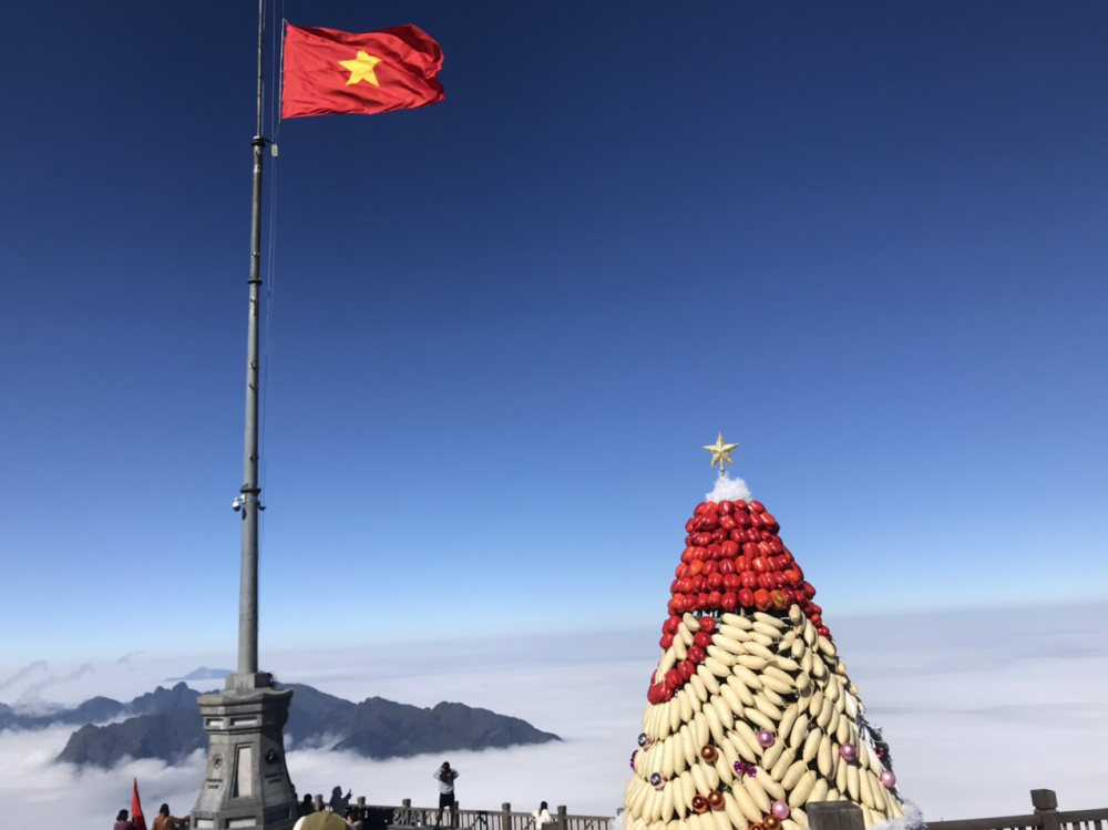 Cây thông noel