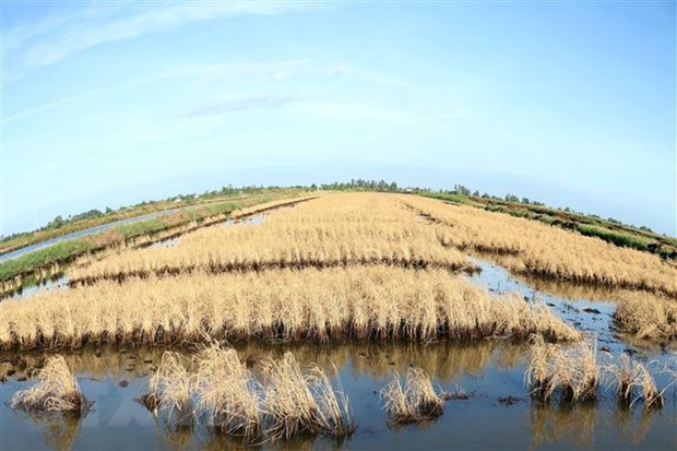 Biến đổi khí hậu