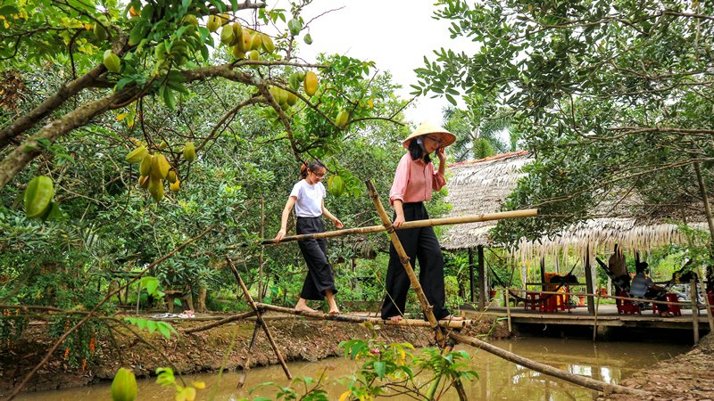 Miệt vườn