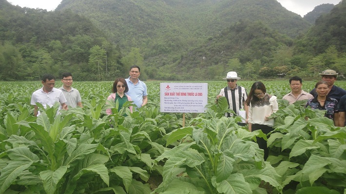 Vùng nguyên liệu