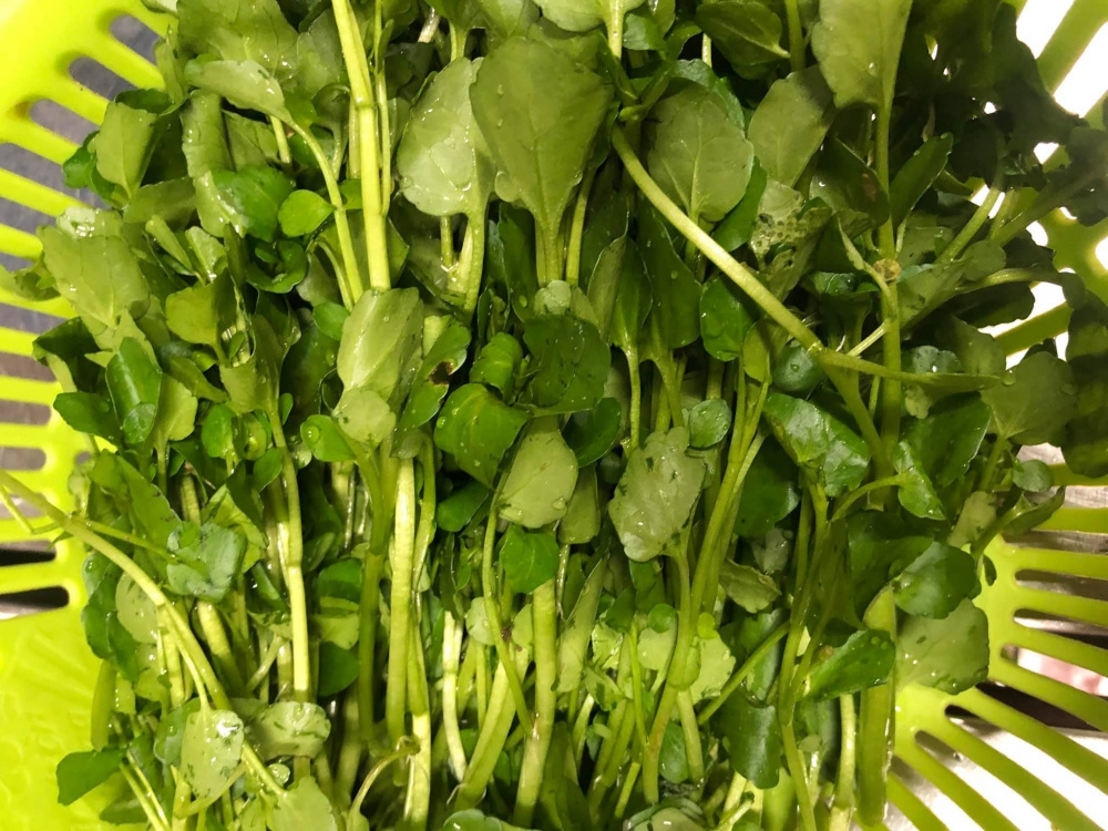 Rau cải xoong