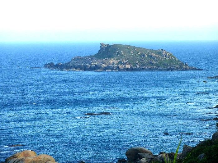 MŨi rồng