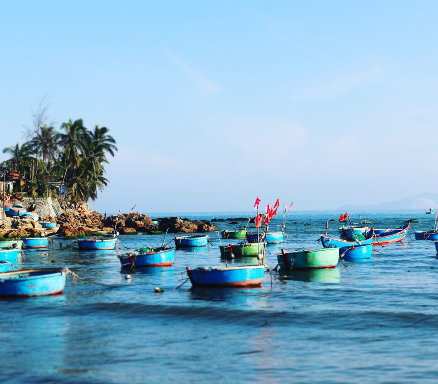 Mũi Vi Rồng