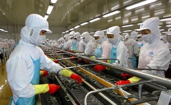 Vụ việc Minh Phú bị cáo buộc lẩn tránh thuế bán phá giá mới chỉ ở giai đoạn PBC đơn gửi yêu cầu.