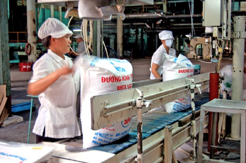 đẩy mạnh hoạt động liên kết giữa nhà máy chế biến đường và các hộ nông dân trồng mía