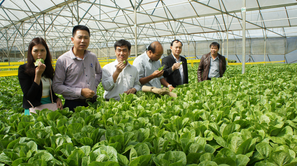 Phát triển Cwin.com link không chặn công nghệ cao ở Lâm Đồng