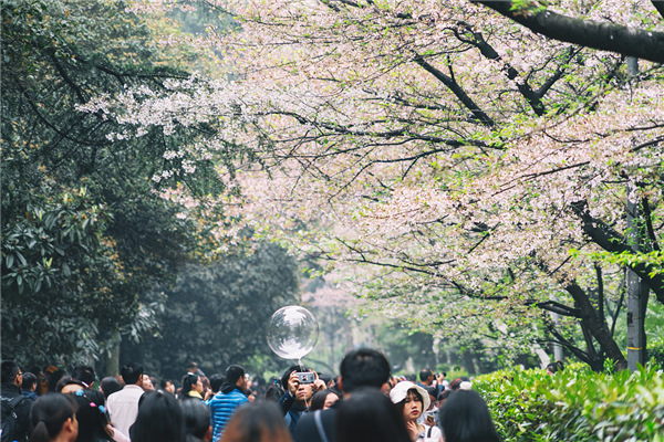 Đại học Vũ Hán