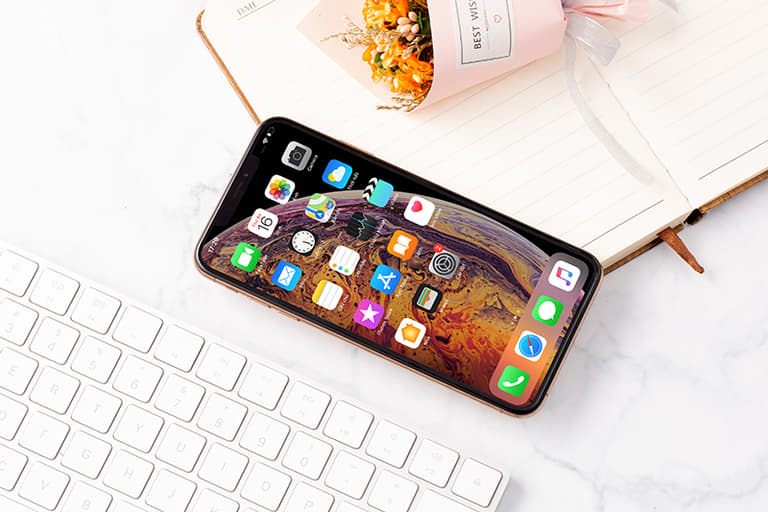 iPhone XS Max