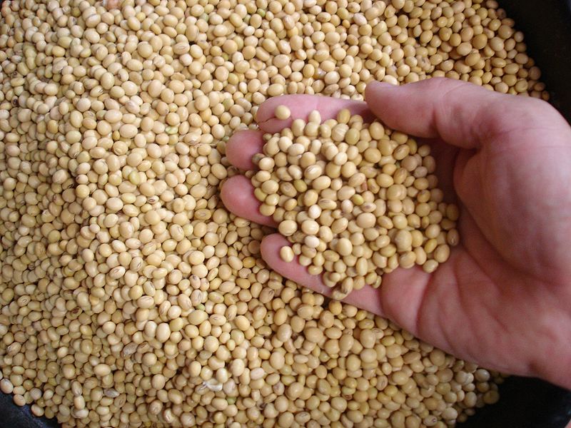 giá đậu tương Hoa Kỳ