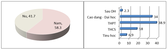 Đinh Phi Hổ 2,3