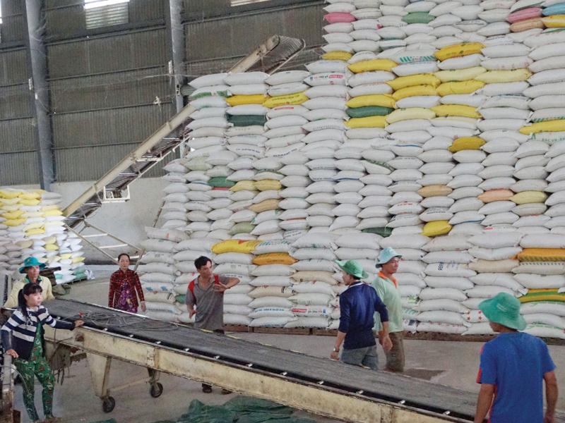  bãi bỏ các điều kiện về sức chứa tối thiểu của kho chuyên dùng (5.000 tấn thóc) 