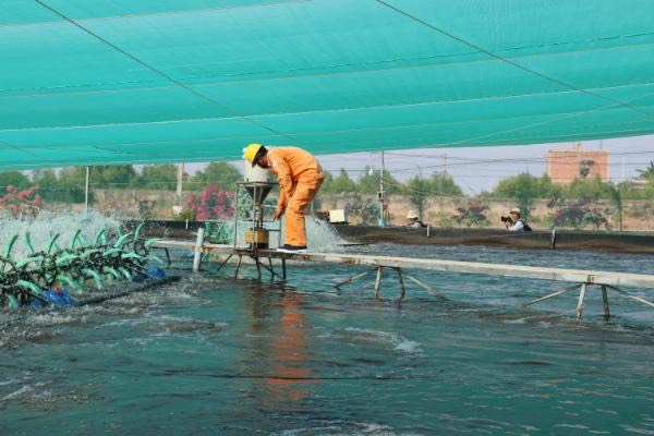điện lực bạc liêu