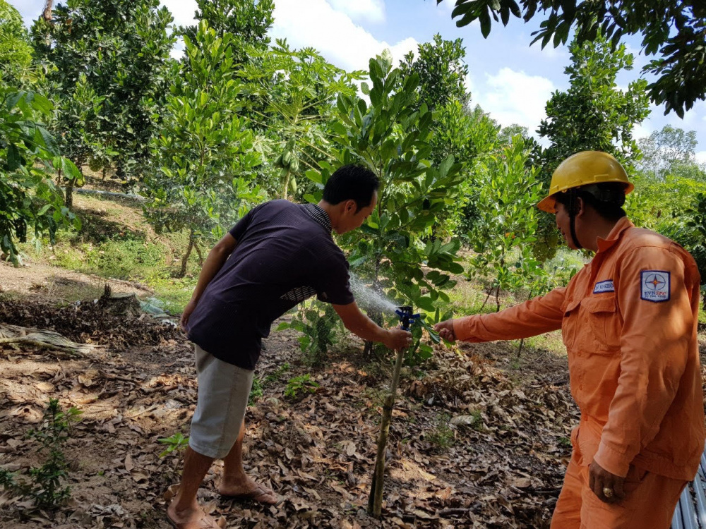 điện lực trà vinh