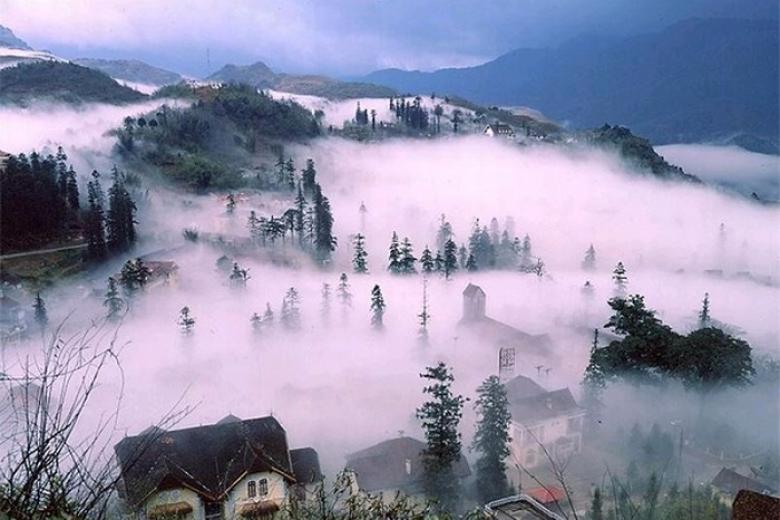 Sapa