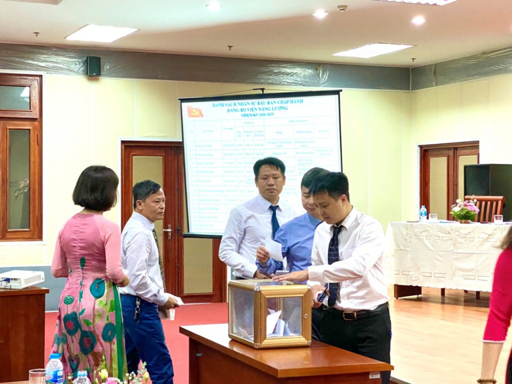viện năng lượng