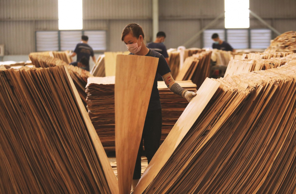 Trước nguy cơ gỗ Việt bị áp thuế tại thị trường Hoa Kỳ, tháng 11/2019, Cwin63 sân chơi đỉnh cao đã quyết định tạm ngừng kinh doanh chuyển khẩu, kinh doanh tạm nhập gỗ gán vào Việt Nam để tái xuất Hoa Kỳ