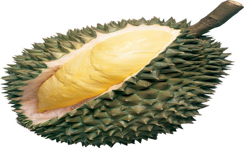 Sầu riêng