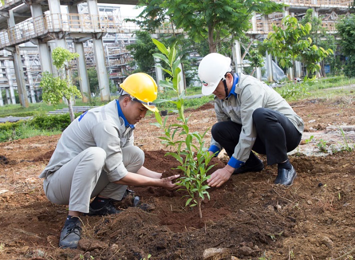 LDA trồng cây