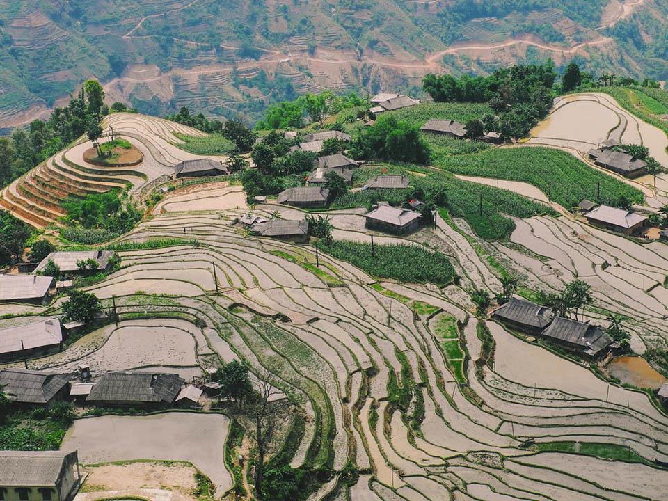 Ruộng bậc thang bản Phùng