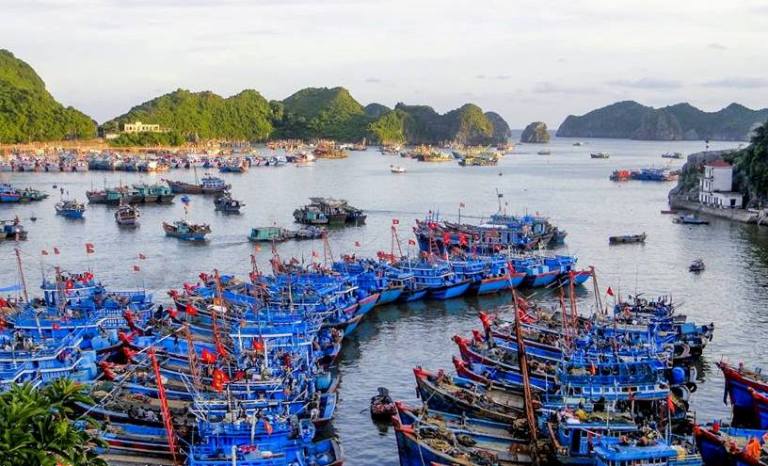 Quy hoạch cảng cá có mục đích chính là đảm bảo an toàn cho tàu cá và ngư dân; đáp ứng nhu cầu dịch vụ hậu cần, neo đậu tránh trú bão cho tàu cá