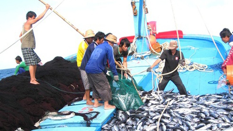  khai thác cá minh bạch, hợp pháp - một trong những điều kiện để EU gỡ thẻ vàng IUU
