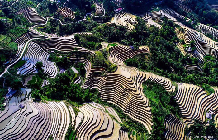 Ruộng bậc thang