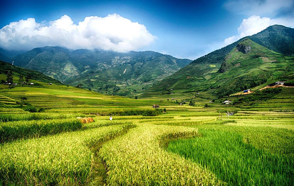 Mường Than
