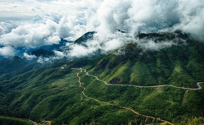 Ô QUy Hồ
