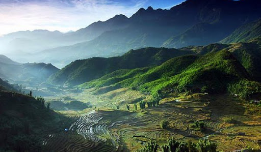 Pú Đao