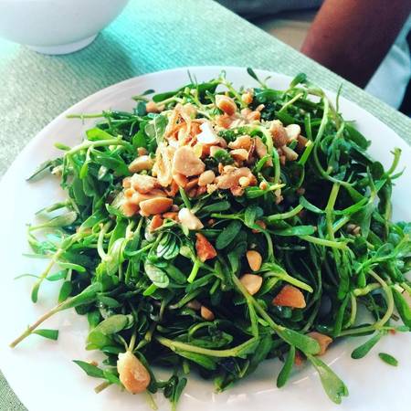 Rau rừng