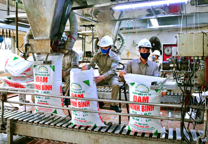 Năm 2019 Công ty hoàn thành vượt mức kế hoạch SXKD được Tập đoàn giao cho và gấp 1,4 lần so với thực hiện năm 2018.