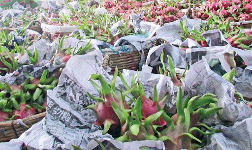 xúc tiến thương mại ấn độ