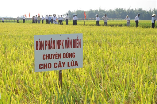 phan bon van dien