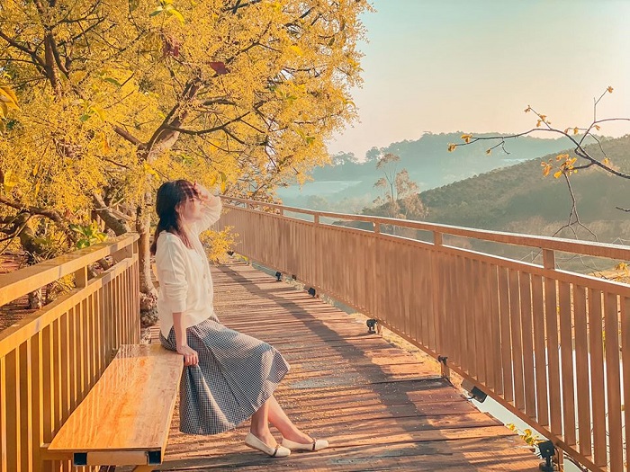 Mộc Trà