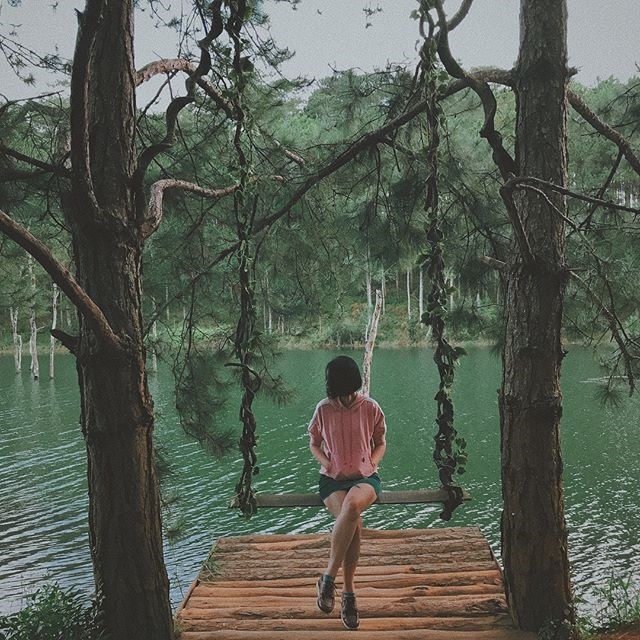 Phim trường