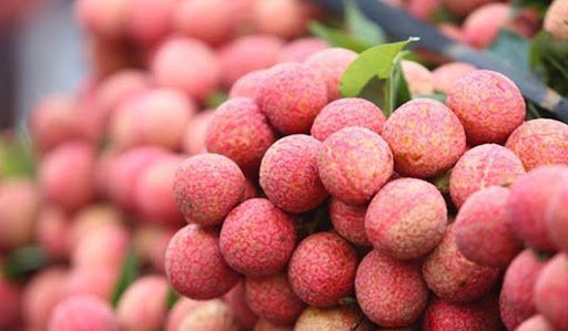 vải thiều lục ngạn