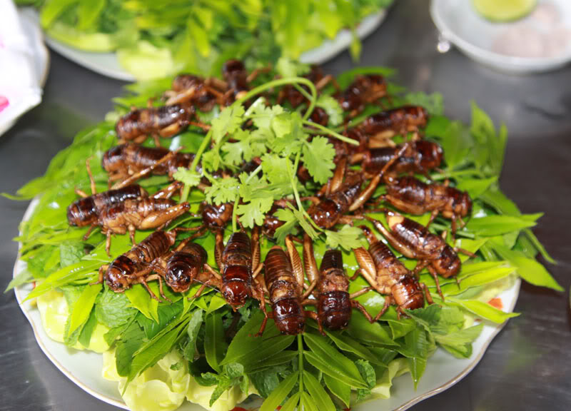 Dế chiên