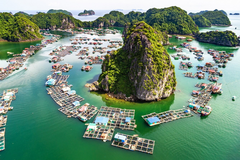 Làng chài