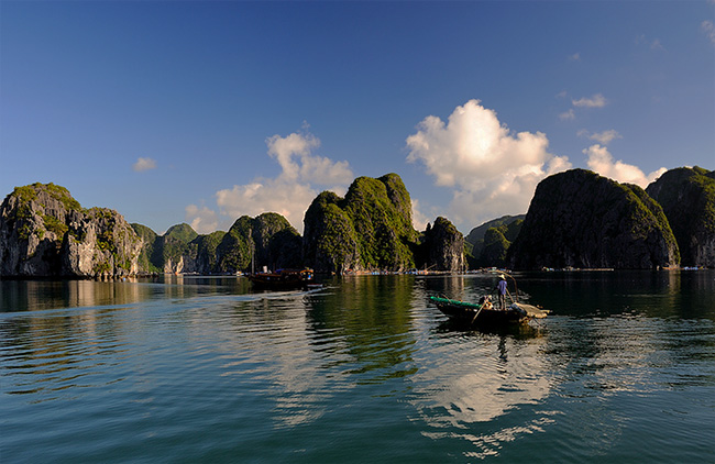 Lan Hạ