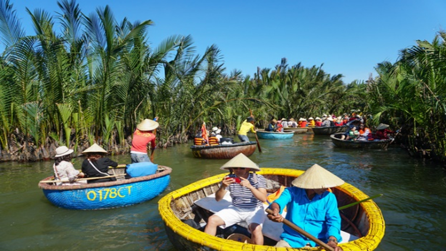 Rừng dừa