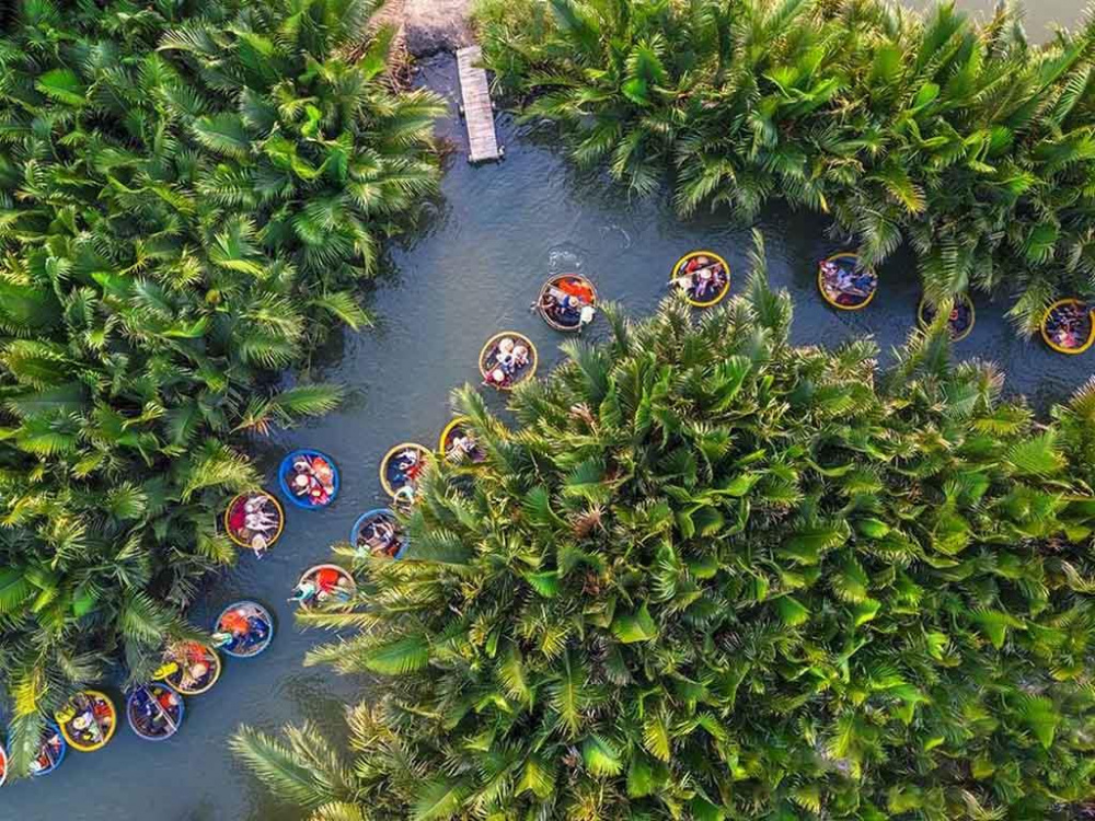 Rừng dừa