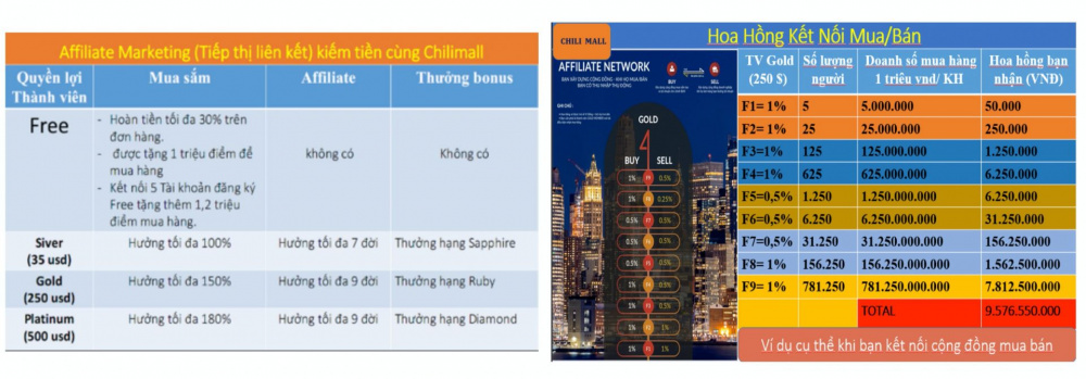 Hình ảnh giới thiệu về hoa hồng khi tham gia vào Chili Mall