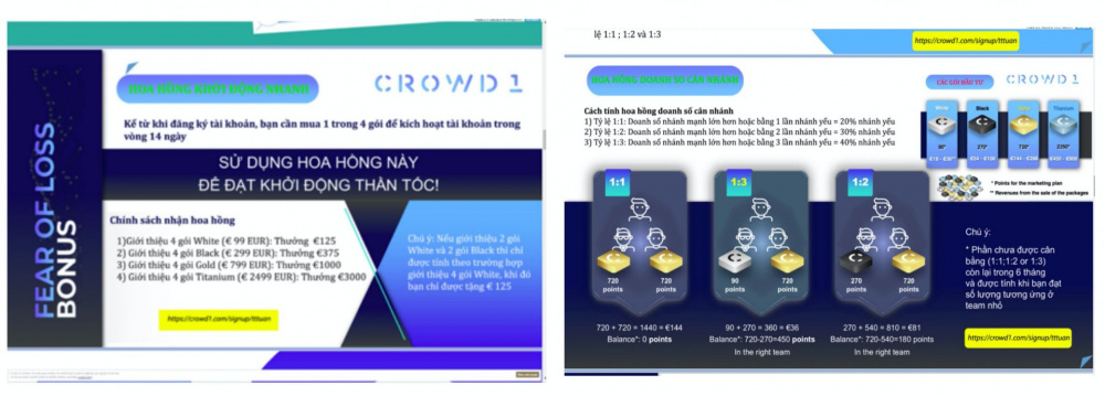 Hình ảnh giới thiệu về hoa hồng của Crowd1