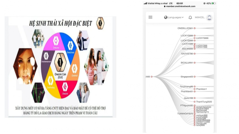 Hình ảnh giới thiệu về Onelink Network