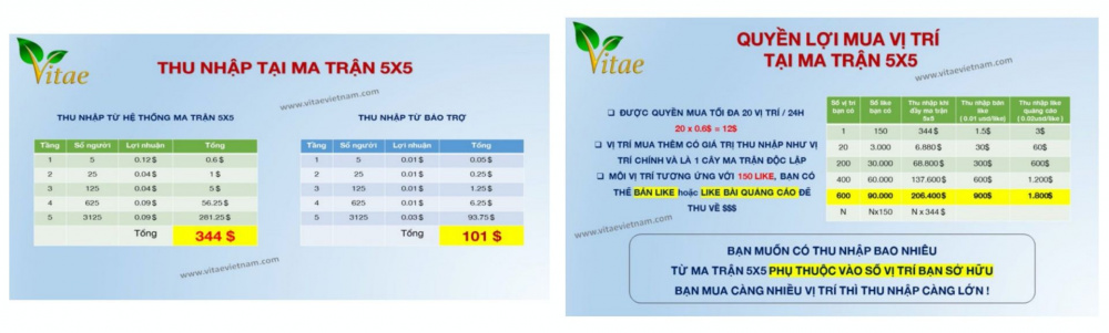 Hình ảnh giới thiệu về thu nhập khi tham gia vào Vitae