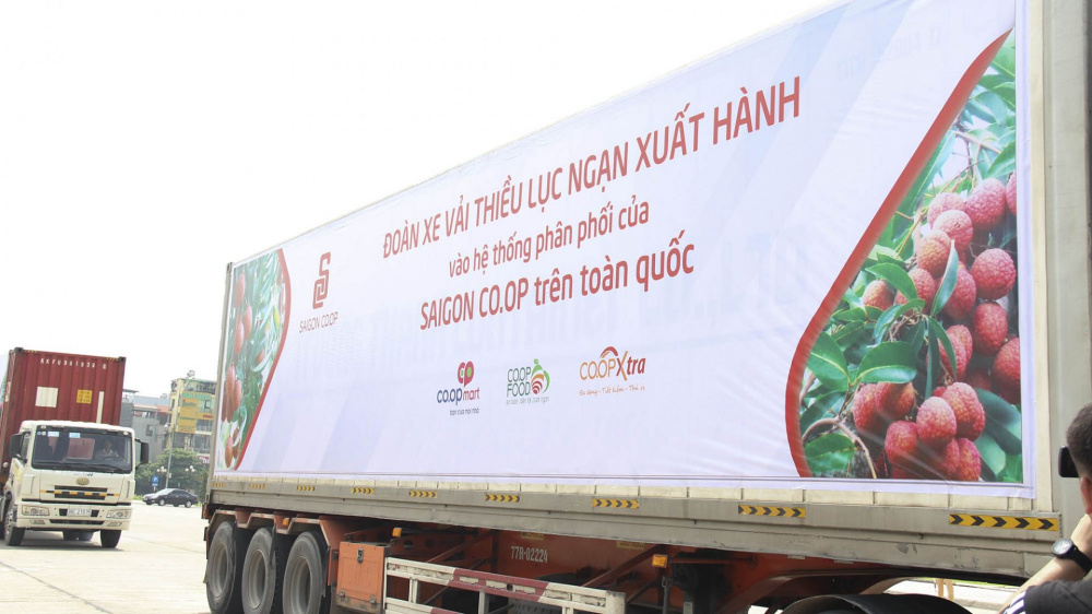 Hội nghị Xúc tiến tiêu thụ vải thiều tỉnh Bắc Giang năm 2020 