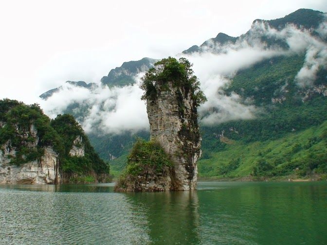 CỌc Vài